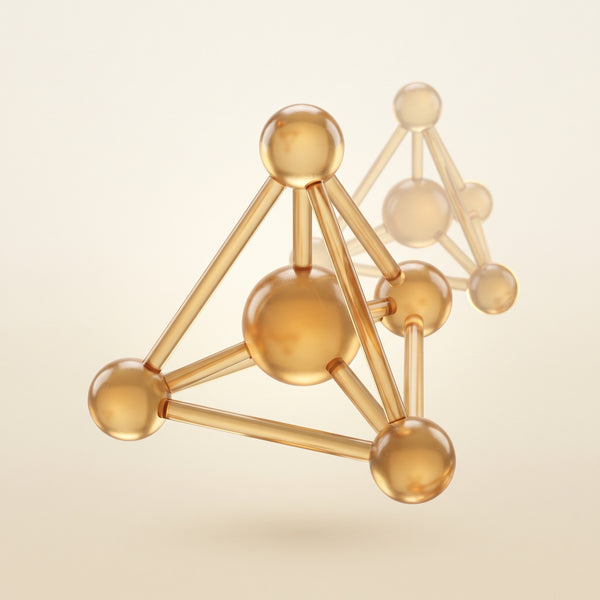illustration_silicon_render_v01_1x1.png